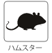 ハムスター